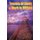 Secrets of Study & Work in MEXICO - English Version 1 (Paperback): Dave Cambrigton