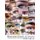 Homeschool Psych 2nd Edition - Preparing Christian Homeschool Students for Psych 101 (Paperback): Timothy S Rice