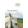 One Good Horse (Paperback): Tom Groneberg