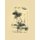 Find Learn Become - A Poem by Tommy Sheffield (Paperback): Tommy Sheffield