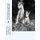 Observations on Borzoi or Russian Wolfhounds (Paperback): Jackson Chambers