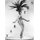 Varietes (Paperback): La Fabrica