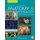 Anatomy and Physiology of Domestic Animals, Second  Edition (Hardcover, 2nd Edition): RM Akers