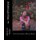 PreOptimism - poem and spoken word book (Paperback): Jordan Xavier Thompson