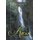 Aaron (Hardcover): Bobbie Kaald