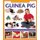 How to Look After Your Guinea Pig (Hardcover): David Alderton