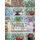 Fragmented Wall Hangings 10 - In Plastic Canvas (Paperback): Dancing Dolphin Patterns