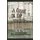 A Curious Old Shop (Paperback): Jenny Thompson