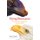 Flying Dinosaurs - How Fearsome Reptiles Became Birds (Hardcover): John Pickrell