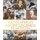 South Africa's Rugby Legends - The Amateur Years (Paperback): Chris Schoeman