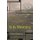 It Is Morning (Paperback): Bargainer Vernon Bargainer