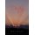 Destiny (Hardcover): Mari Alegre