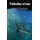 Fabulas vivas (Spanish, Paperback): Andres R Rodriguez