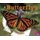 A Butterflys Life Cycle (Explore Life Cycles) (Paperback): Mary R. Dunn