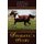 Shabang's Story - A Horse Adventure (Hardcover): Patricia Marlowe Barrett