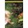 Like One Being Taught - Lessons From God in the Little Things of Life (Hardcover): Rejean M Mcgalliard