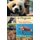 Pandas to Penguins - Ethical Encounters with Animals at Risk (Paperback): Melissa Gaskill