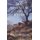 The Adventure of Joseph (Paperback): Reyaz Nadeem