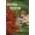 Abusing Religion - Literary Persecution, Sex Scandals, and American Minority Religions (Hardcover): Megan Goodwin