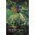 The White Horse - A Colombian Journey (Paperback): Diane Thiel
