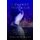I Cannot Tell A Lie - The True Story of George Washington's African American Descendants (Paperback): Linda Allen Bryant