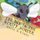 The bee in the stripy jumper (Paperback): Colin D Evans
