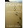 The Journey - A Search for Life's Meaning (Paperback): Dr. Russell T. McClanahan