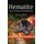 Hematite - Sources, Properties & Applications (Paperback): Deniz Morel