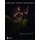 Emerging Fashion Designers (Hardcover): Sally Congdon-Martin