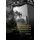 Performing Place in French and Italian Queer Documentary Film - Space and Proust's Lieu Factice (Hardcover, 1st ed. 2018):...