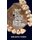 What Teeth Reveal about Human Evolution (Hardcover): Debbie Guatelli-Steinberg