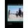 International Human Rights Law - Returning to Universal Principles (Paperback, Second Edition): Mark Gibney