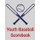 Youth Baseball Scorebook - 100 Scorecards For Baseball and Softball (Paperback): Franc Faria