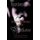 Believe - The Weeping Tree Chronicles (Paperback): Philip David Hogan