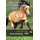 Principles of Conformation Analysis - Equus Reference Guide (Paperback): Deb Bennett