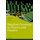 Random Processes in Physics and Finance (Paperback): Melvin Lax, Wei Cai, Min Xu