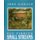 Fly Fishing Small Streams (Paperback): John Gierach