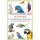 Preventative Health Care for Pet Birds - The Essentials for a Healthy Bird (Paperback): Greg Burkett