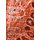 Regional Cancer Therapy (Paperback, Softcover reprint of hardcover 1st ed. 2007): Peter M Schlag