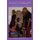 Salon Therapy - Lay Yo' Burdens Down by the Beauty Shop (Paperback): Denise Thompson