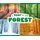 A Year in the Forest (Hardcover): Christina Mia Gardeski