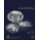 Gnotobiotics (Hardcover): Trenton R. Schoeb, Kathryn A. Eaton