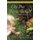 Like One Being Taught - Lessons From God in the Little Things of Life (Paperback): Rejean M Mcgalliard