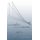 Oceanic New York (Paperback): Elizabeth Albert, Jamie Skye Bianco, Jeffrey Jerome Cohen