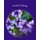Creative Coloring - Enhance Your Creativity and Focus (Paperback): Emma Roberts