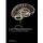 Cuidar da Pessoa com Esquizofrenia (Portuguese, Paperback): Bruno Romao