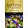 Sandplay Therapy - Research and Practice (Paperback): Grace L. Hong