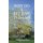 Why Do I Believe in Islam (Paperback): Mohammad Shafi