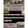 A Leadership Analysis - Lieutenant General James Longstreet (Paperback): Inc Penny Hill Press