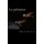 La presence (French, Paperback): Denis Henri Duclos